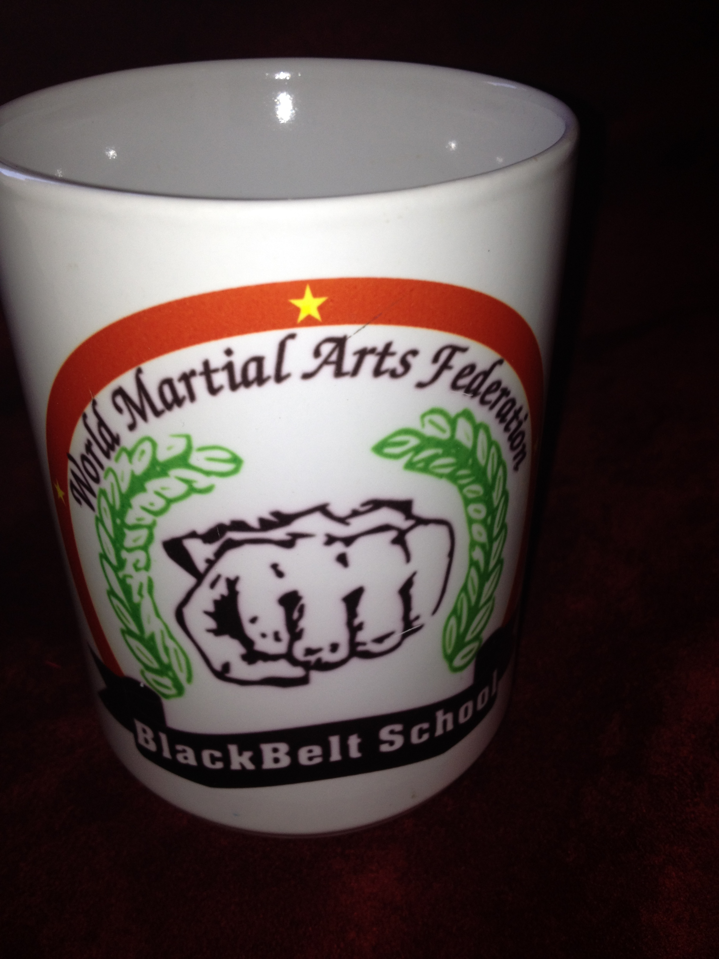 Martial Arts Mug  made with sublimation printing